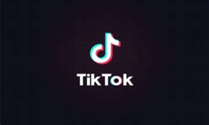 2 công cụ giúp bạn tải video Tiktok không logo_01
