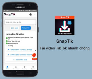 2 công cụ giúp bạn tải video Tiktok không logo_02