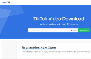 2 công cụ giúp bạn tải video Tiktok không logo_03