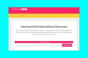 Cách tải video TikTok không logo trên iPhone